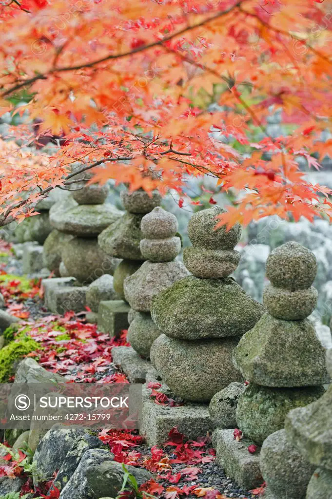 Asia, Japan. Kyoto, Sagano, Arashiyama, Adashino Nenbutsu dera temple, stone lanterns