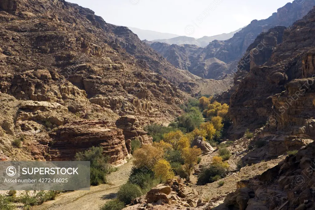 Jordan, Shara Mountains.   The arid valleys leading from the central plateau towards the Dead Sea Valley provide life sustaining water and excellent trekking routes through the otherwise impassible mountain barrier.