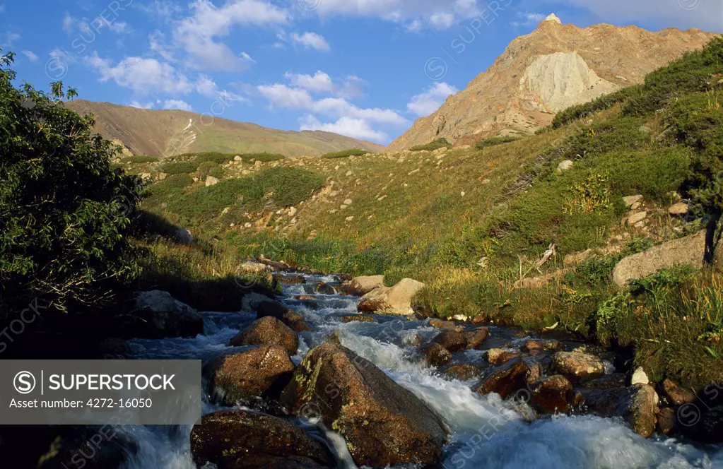 A mountain stream in the Tien Shan Mountains