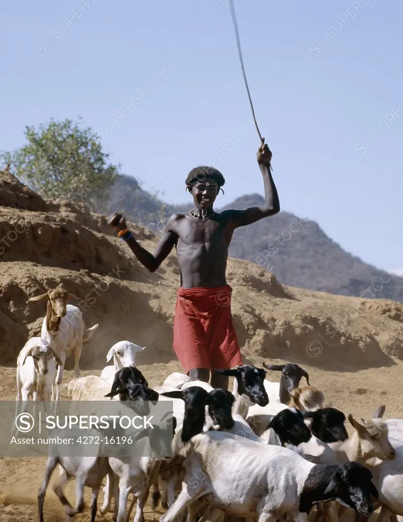 A young Samburu herdsman drives goats towards a Waterhole along the Milgis - a wide, sandy seasonal watercourse which is a lifeline for pastoralists in the low-lying semi-arid region of their district.  The hair style of the young man denotes his status as an uncircumcised youth.