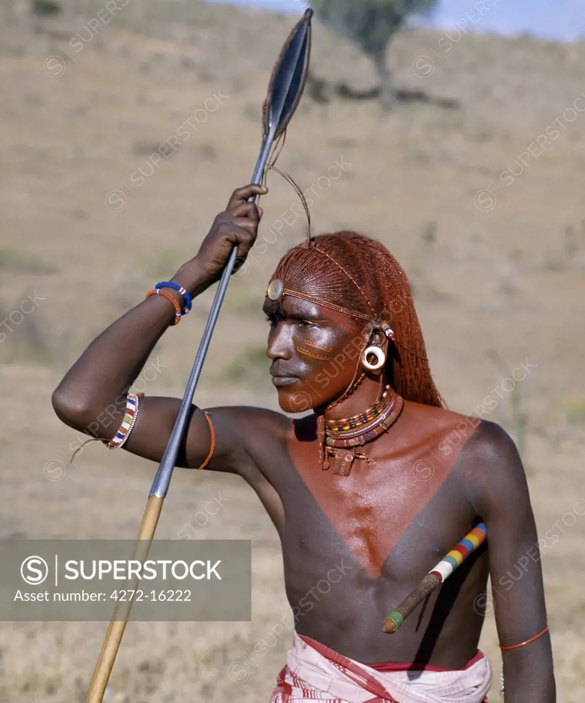 A Samburu warrior resplendent with long braids of Ochred hair.  His round ear ornaments are made of ivory.  Samburu warriors are vain and proud, taking great trouble over their appearance. They use ochre extensively; it is a natural earth containing ferric oxide which is mixed with animal fat to the consistency of greasepaint. By tradition, warriors always used to carry two spears.