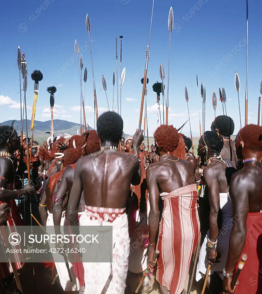 Samburu warriors sing in a circle during a wedding celebration. As they sing and dance, they twist their spears in unison. Soloists ad-lib words to traditional tunes, praising the bravery of certain individuals or the bulls of their families' herds.