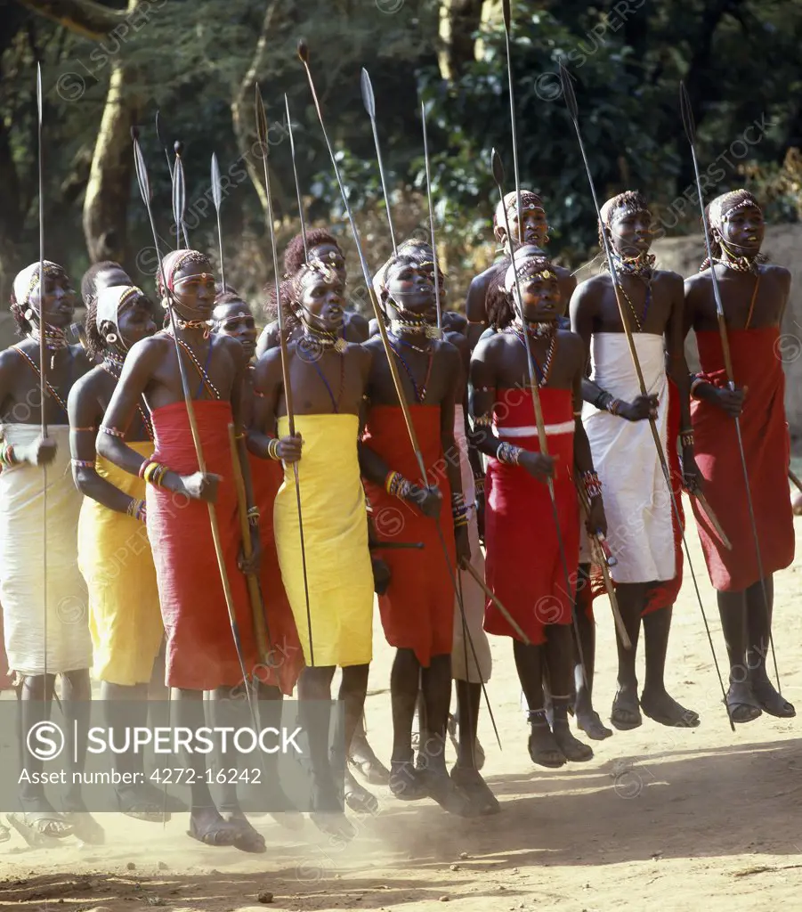 Samburu warriors, spears in hand, jump into the air without bending their knees during one of their dance routines.