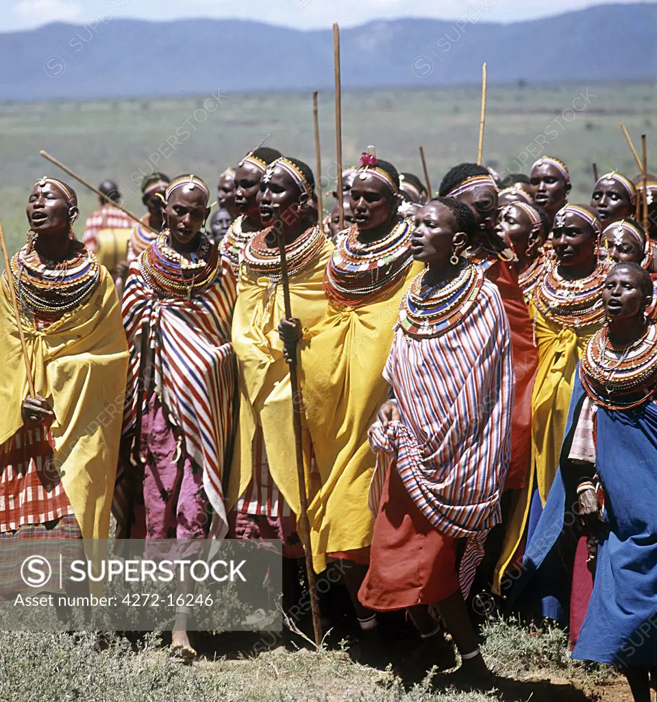 During Samburu wedding celebrations, married women  congregate apart from the warriors and young girls to sing in praise of  the couple and  to dance.