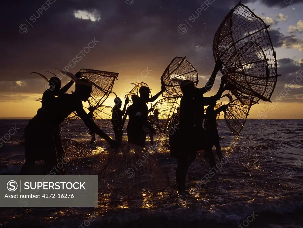 As the sun rises over Lake Turkana, a group of fishermen fish for tilapia with their traditional fishing baskets in the lakes shallow waters.  These traditional methods of fishing are now rare because the introduction of small mesh gillnets has resulted in a marked decline of fish stocks close to the shore.