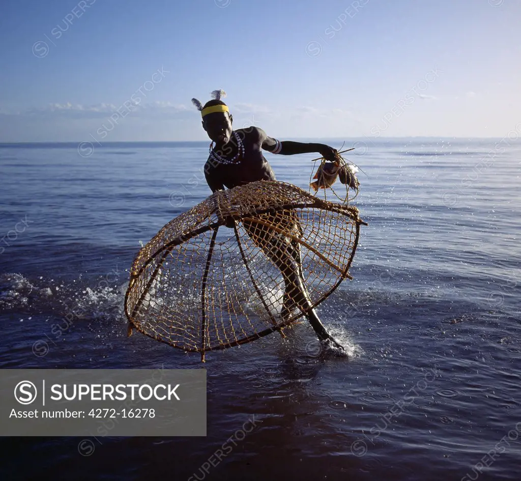 With his traditional fishing basket poised, a Turkana fisherman rushes to catch a tilapia in the shallow waters of Lake Turkana.  The conical shaped basket, three to four feet wide at the mouth and made from pliable sticks and twisted doum palm fronds, has a small flap at the top of the cone  through which trapped fish are removed.