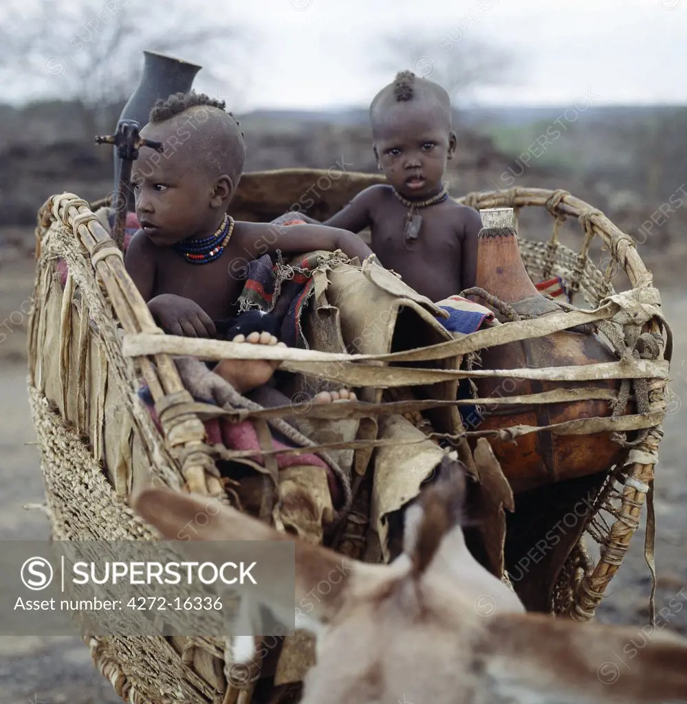 Donkeys are indispensable beast of burden, assuring the nomadic Turkana of complete mobility.  These study little animals carry the few essentials of life in oval panniers strapped to their flanks. Infants, puppies and newborn kids will also ride securely in them.