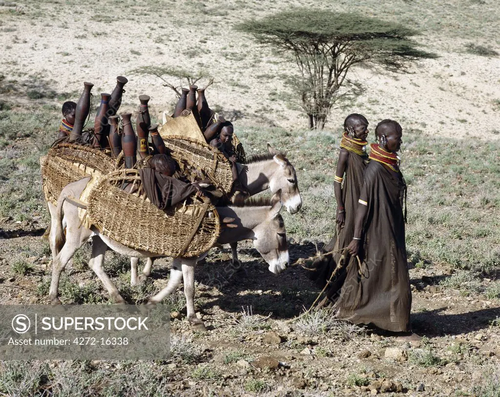 Donkeys are indispensable beast of burden, assuring the nomadic Turkana of complete mobility.  These study little animals carry the few essentials of life in oval panniers strapped to their flanks. Infants, puppies and newborn kids will also ride securely in them. The skittle-shaped containers are used for milk and water.