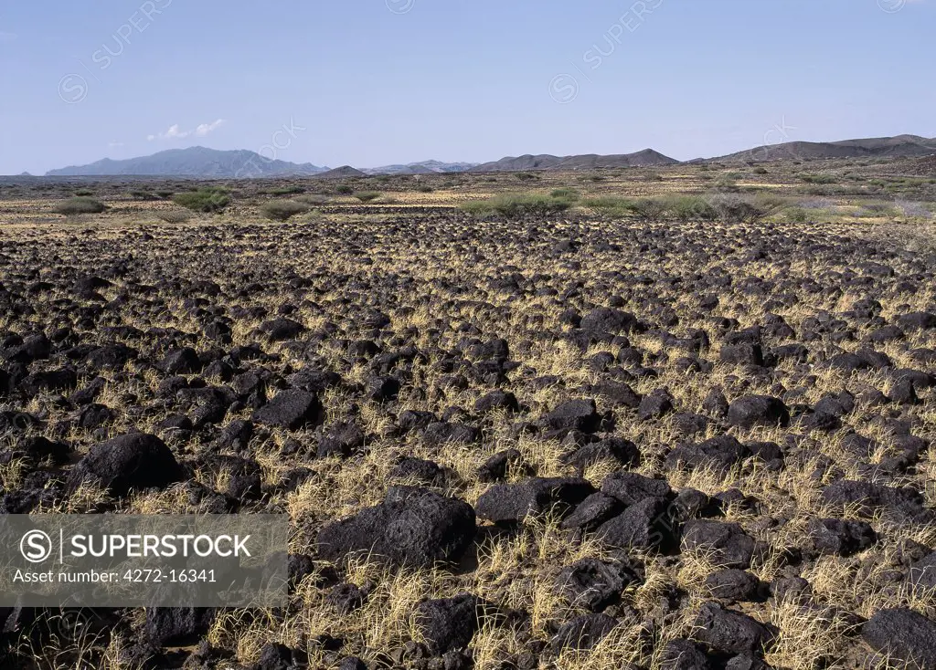 Miles and miles of basaltic lava boulders are a feature of the landscape south of Lake Turkana. This inhospitable, barren country has low rainfall and is only suitable for nomadic pastoralists like the Turkana.  Mount kulal is visible in the distance.