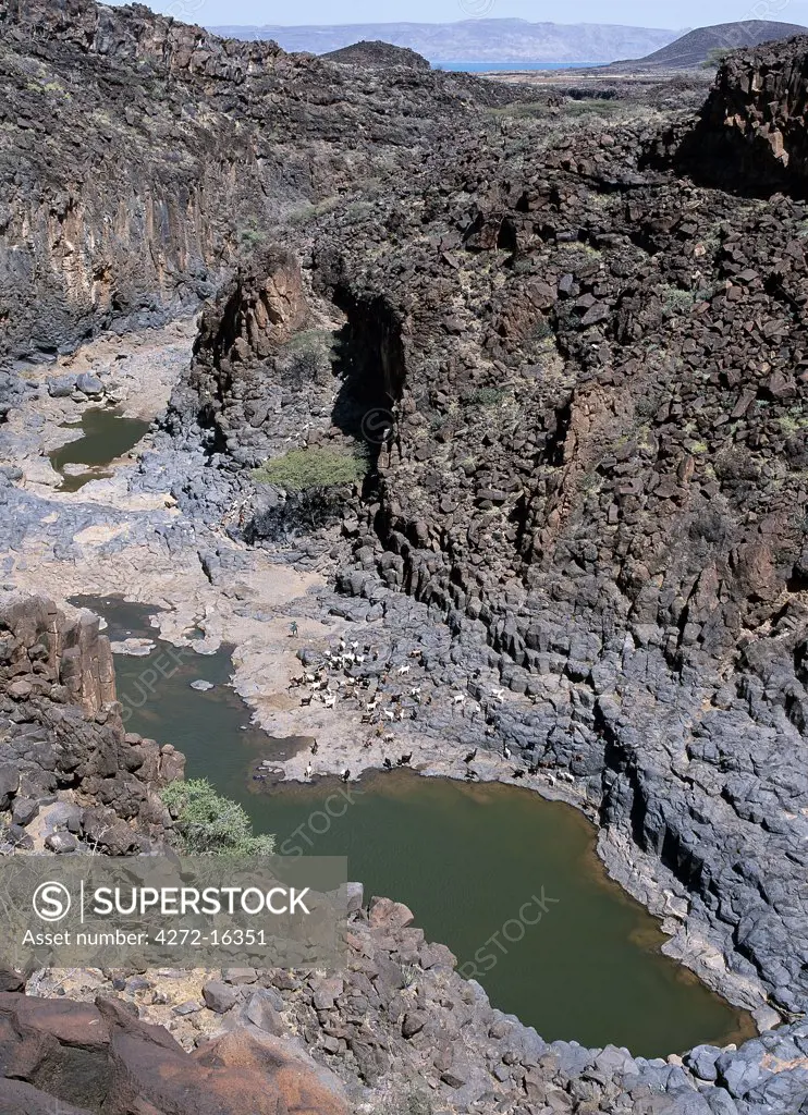 The natural rock pools along the Sirima lugga  are important to the Turkana and their stock in an otherwise waterless, rocky region at the southern end of Lake Turkana.  In a year of average rainfall, water in the deepest pools will last throughout the year.