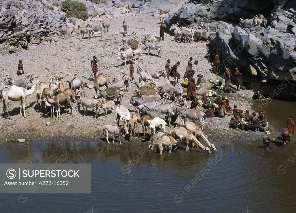 The natural rock pools along the Sirima lugga (seasonal watercourse) are important to the Turkana and their livestock in an otherwise waterless, rocky region at the southern end of Lake Turkana.  In a year of average rainfall, water in the deepest pools will last throughout the year. If they dry up, the Turkana resort to using the alkaline water of Lake Turkana.