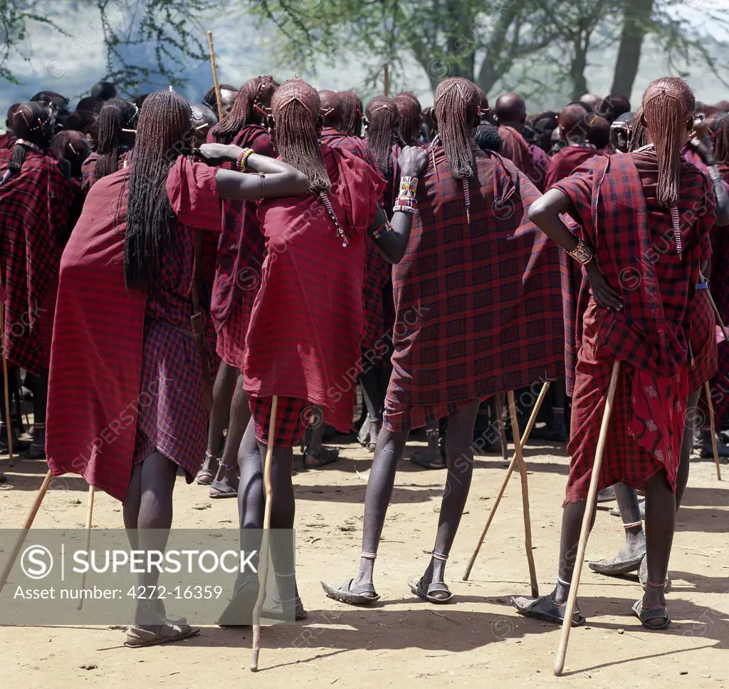 Maasai warriors resplendent with long ochred braids relax and wait for the start of a ceremony. Red has always been their preferred colour.