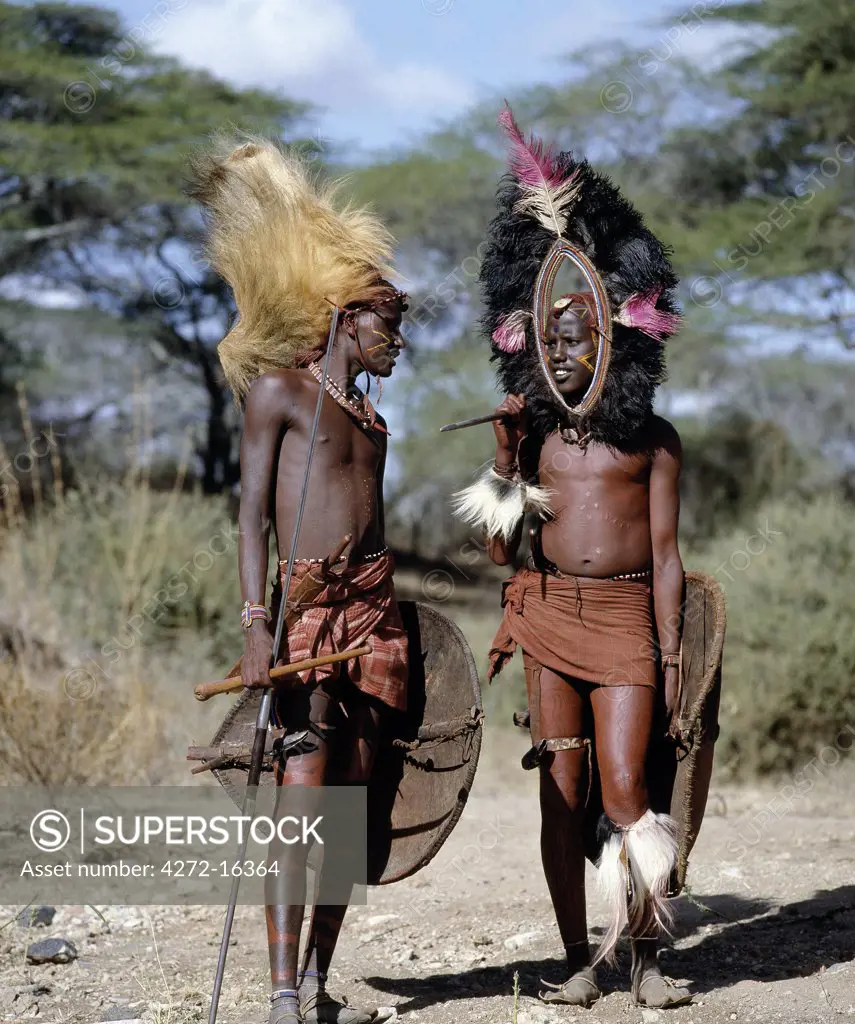 Two Maasai warriors in full regalia.  The headdress of the man on the left is made from the mane of a lion while the one on the right is fringed with black ostrich feathers. Their traditional weaponry includes long-bladed spears and shields are made of buffalo hide.