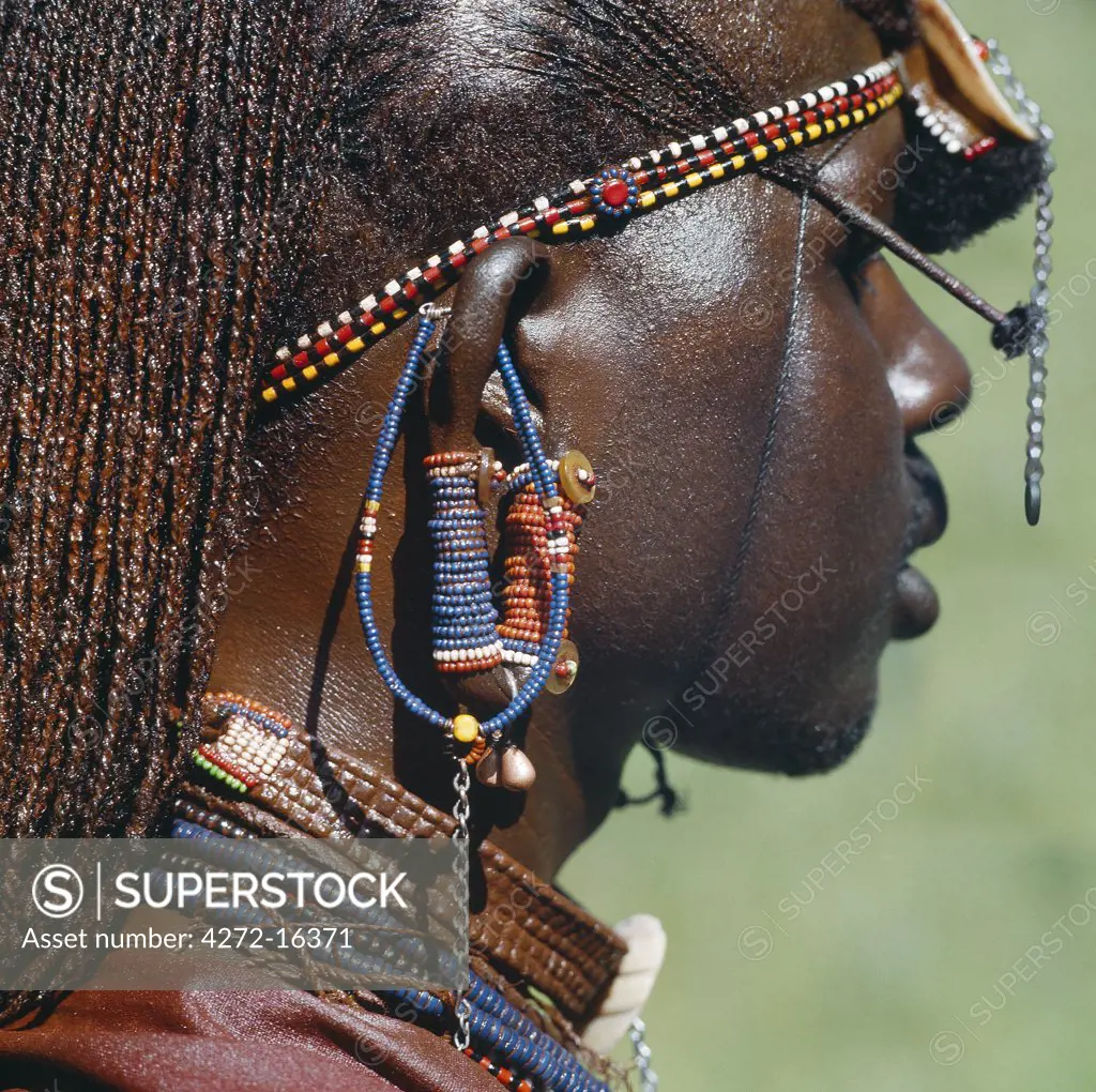 Detail of a Maasai warrior's ear ornaments and other beaded or metal adornments.  The Maasai practice of  piercing ears in adolescence and gradually elongating the lobes is gradually dying out. This warrior's body and his long braids have been smeared with red ochre mixed with animal fat.