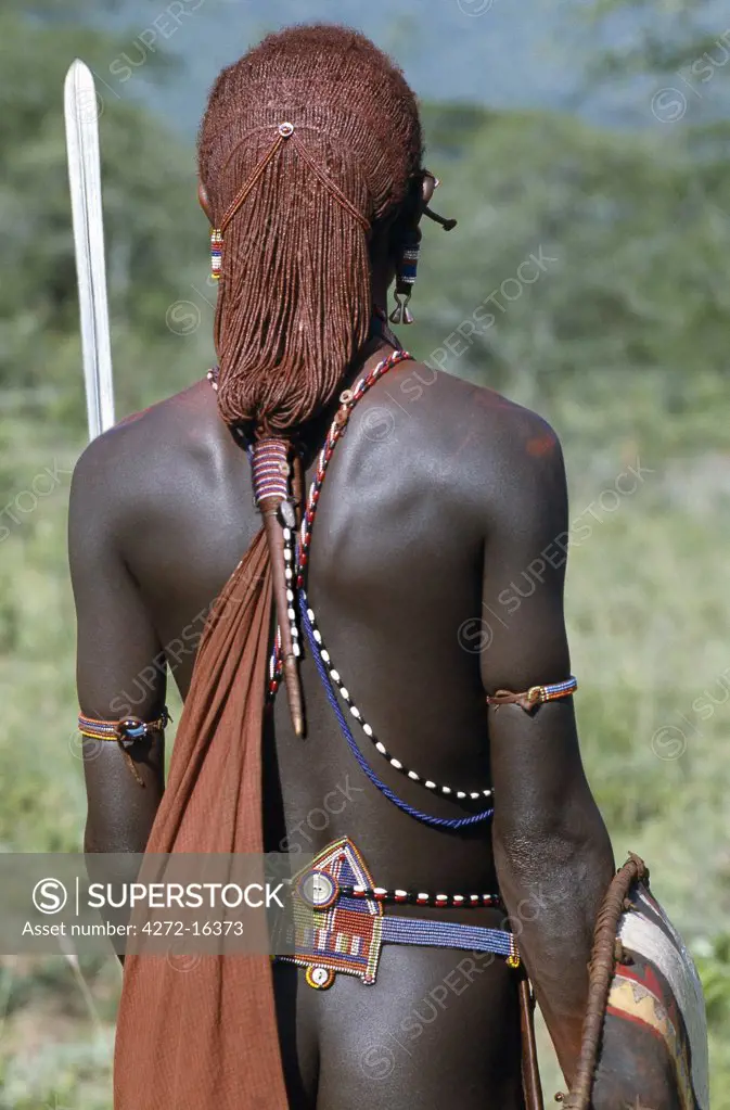 A back view of a Maasai warrior resplendent with long ochred braids tied in a pigtail. This singular hairstyle sets him apart from other members of his society. His beaded  belt  is of a style only worn by warriors. The little copper bell-shaped ear ornament hanging from his elongated and decorated earlobe is also peculiar to the Maasai.