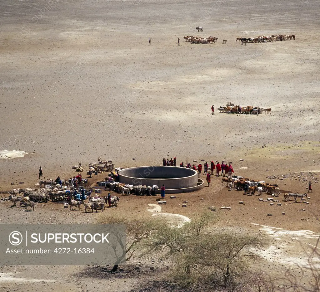 Maasai water their livestock at a water tank constructed by the Magadi Soda Company on salt flats. Until fresh water was piped from distant hills, the Maasai could only graze their livestock at Magadi during the bi-annual rainy season.
