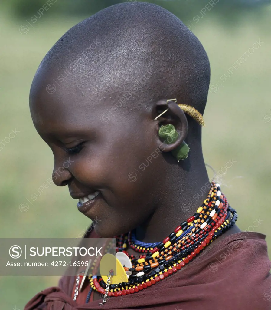 A young Maasai girl keeps the holes in her pierced ears from closing with grass and rolled leaves.  She will gradually stretch her earlobes by inserting progressively larger wooden plugs. By tradition, both Maasai men and women pierce and elongate their earlobes for decorative purposes.