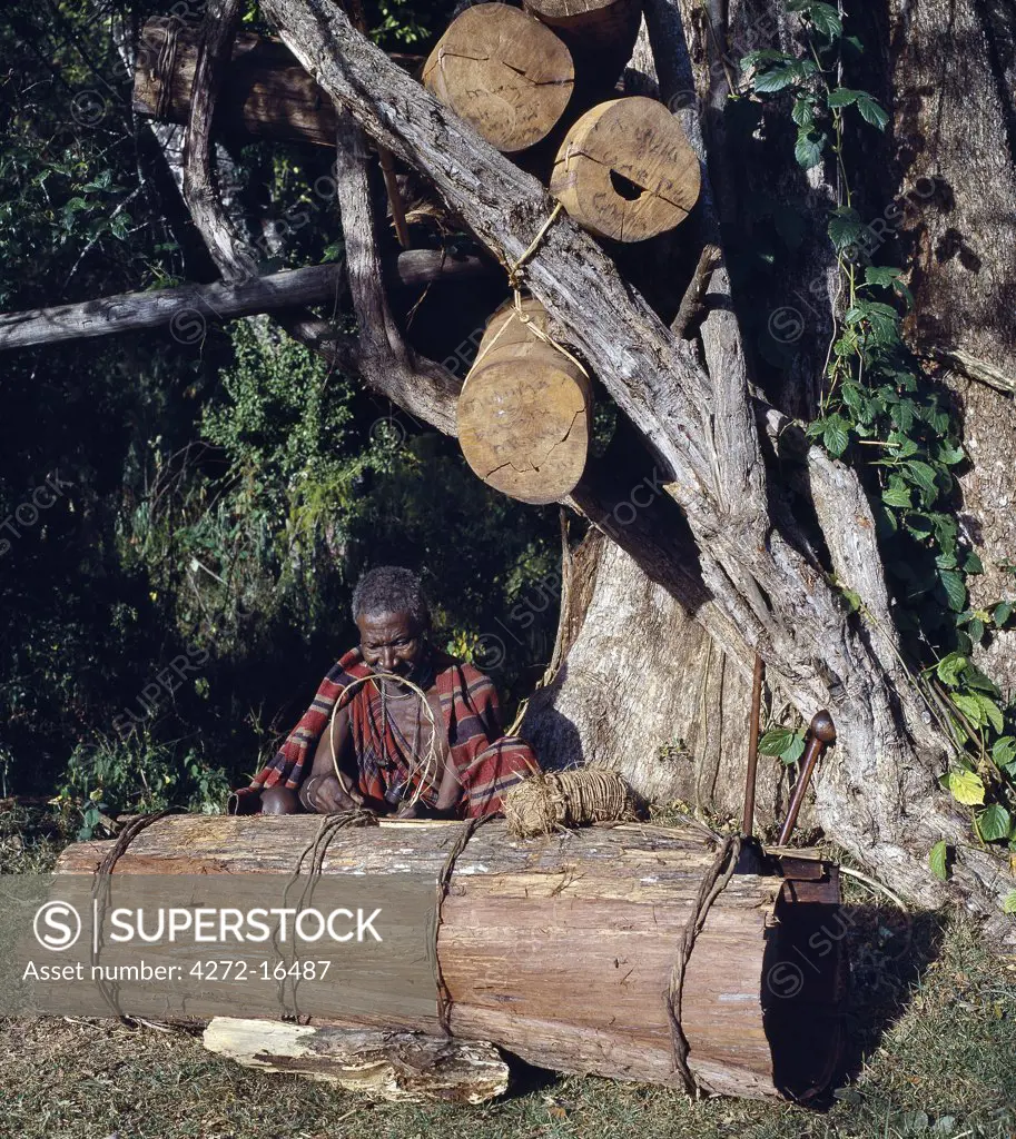 The Ogiek people are hunter-gatherers who live in the Mau forest. They gather honey for consumption and for sale from beehives they make from hollowed-out logs. Here, an old man in a forest clearing ties cedar bark round the outside of a new hive. A person may own as many as three hundred hives hung in specific family-owned trees over a wide area, harvesting them at eight-month intervals.
