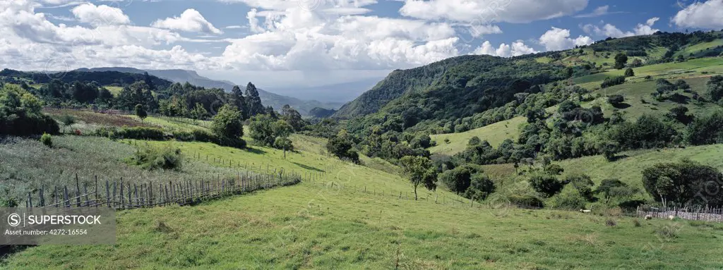 Smallholdings of the Pokot people dot the landscape on top of the fertile Cherangani Hills, which was once a well-forested area. The crop on the left of the picture is pyrethrum whose white flowers are dried and made into an effective natural insecticide.