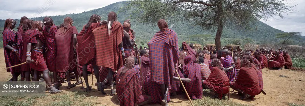 A large gathering of Maasai warriors, resplendent with long Ochred braids, listen to instructions from their chiefs and elders during a ceremony