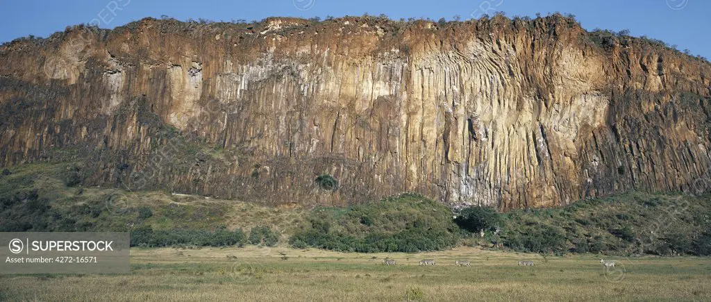 Burchell's zebra (Equus burchelli) are dwarfed by the huge fluted escarpments that dominate the volcanic landscape at Hell's Gate, south of Lake Naivasha. When the level of Lake Naivasha was much higher in the Pleistocene epoch, these escarpments bounded a fast-flowing outlet.