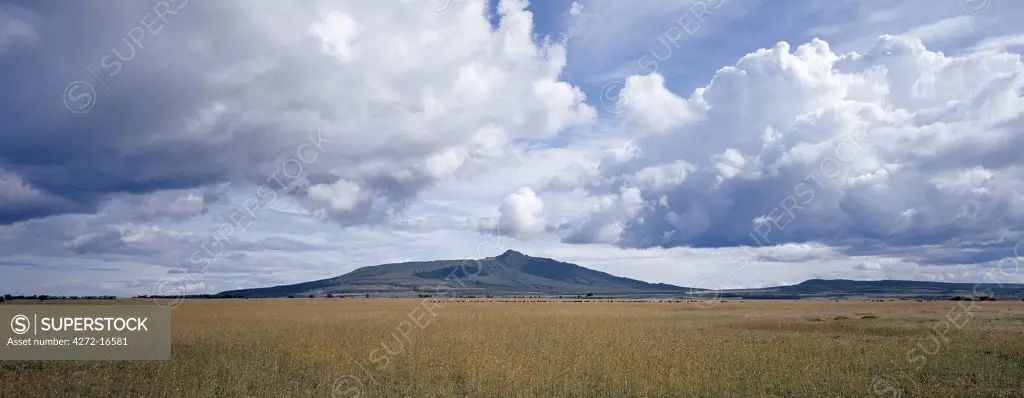 Mount Longonot, 9,110 feet high, lies on the floor of the Great Rift Valley, thirty five miles northwest of Nairobi. Aptly called by the Maasai Ol doinyo Longonot, the mountain of many valleys and gullies, it is of volcanic origin. The last eruption of a parasitic cone happened only 5,000 years ago.