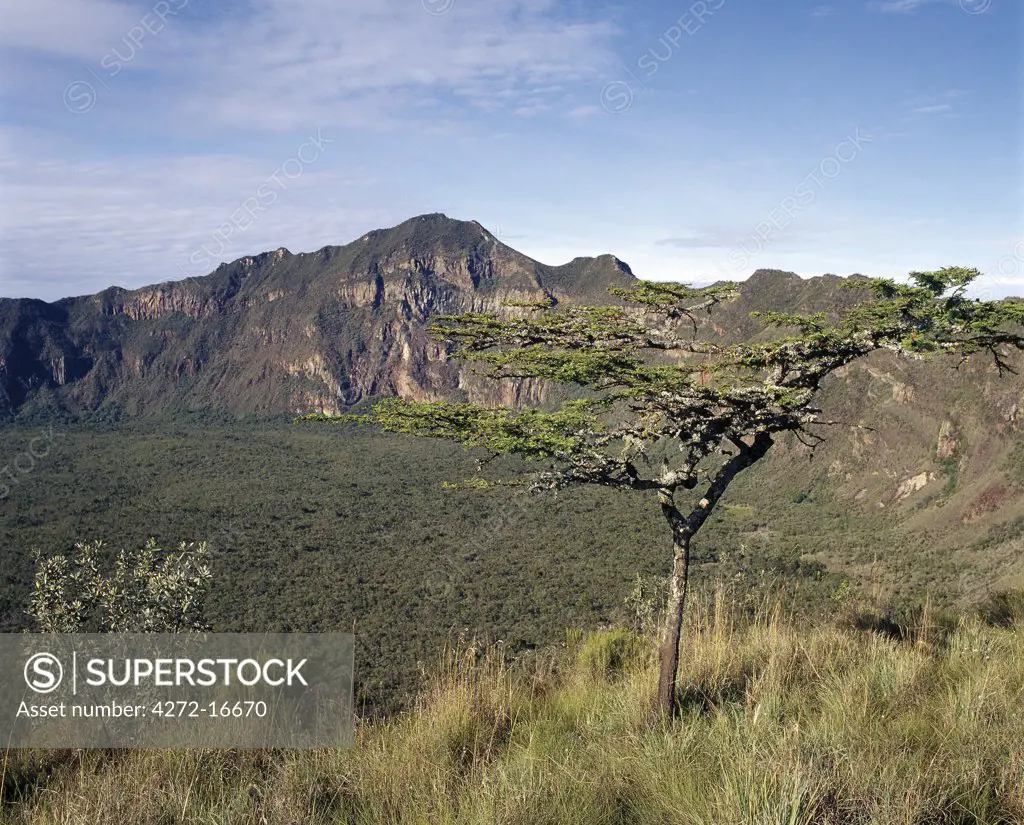Mount Longonot is unmistakably volcanic in origin because of its shape and rises to a height of 9,110 feet from the floor of the Great Rift Valley, just south of Lake Naivasha.  Steam still issues from its large, circular inner crater wall