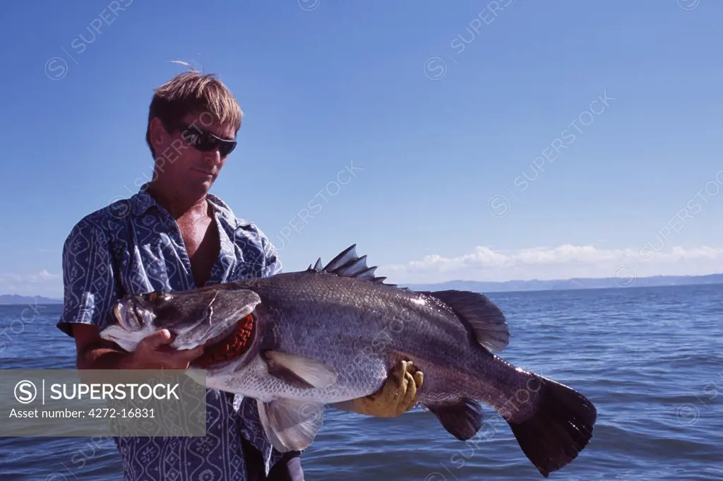 Fishing guide, Colin Burch, holds up a 30 lb Nile Perch caught on a lure.    Nile perch are the largest freshwater fish accessible to anglers.   The biggest Nile perch on record was caught by local fishermen on Lake Victoria and weighed in at 232 kg.