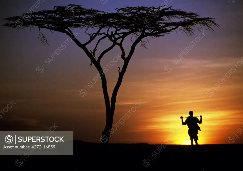 Kenya, Chalbi Desert, Kalacha. A Gabbra herdsman presents a lonely figure standing under a flat-topped acacia tree on the edge of the Chalbi Desert at sunset.  The Gabbra are a Cushitic tribe of nomadic pastoralists living with their herds of camels and goats around the fringe of the Chalbi Desert.