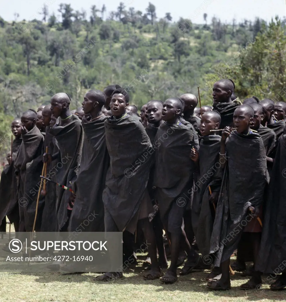 In the weeks leading up to their circumcision, Samburu boys gather frequently to sing the lebarta, a circumcision song with a slow, haunting melody whose words are ad libbed to suit the occasion.