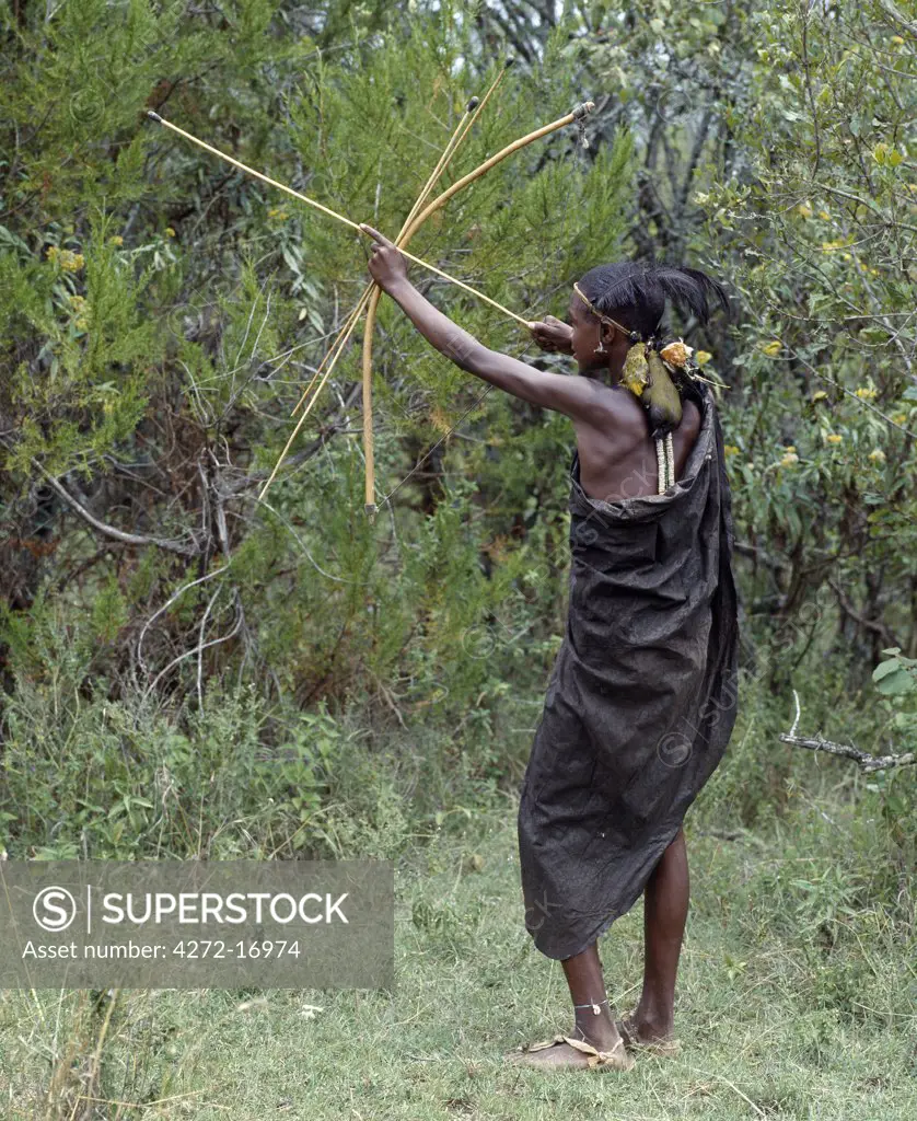 A Samburu initiate takes aim at a bird with a blunt arrow. While their wounds heal for a month after circumcision, initiates spend their time wandering in the countryside attempting to kill as many birds as they can with a club and four blunt arrows.