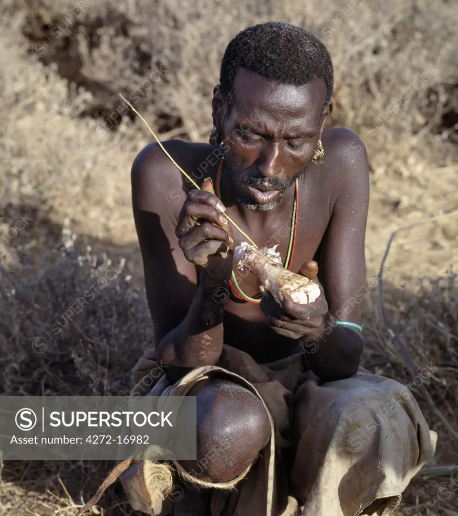 A Samburu father of a recently circumcised initiate removes the marrow from the leg bone of an ox.  Marrow is a much sought-after delicacy. During every Samburu ceremony, livestock is slaughtered and meat is roasted over wood fires.