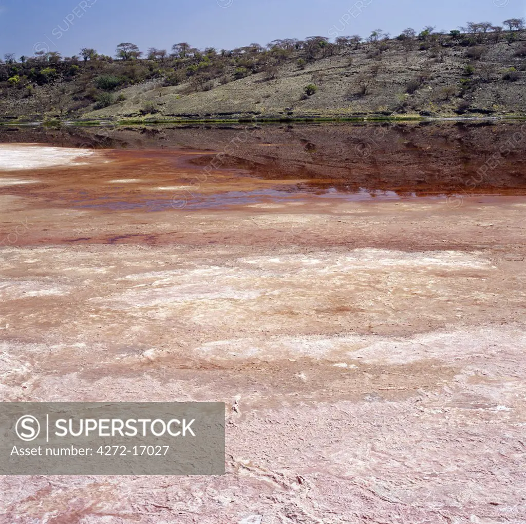 Kenya, Rift Valley Province, Lake Magadi. The pink-tinged mineral encrustations of trona or natron form by evaporation in the shallow alkaline waters of Lake Magadi.  They are mined for a variety of commercial uses and are continually replenished by the action of underground springs.