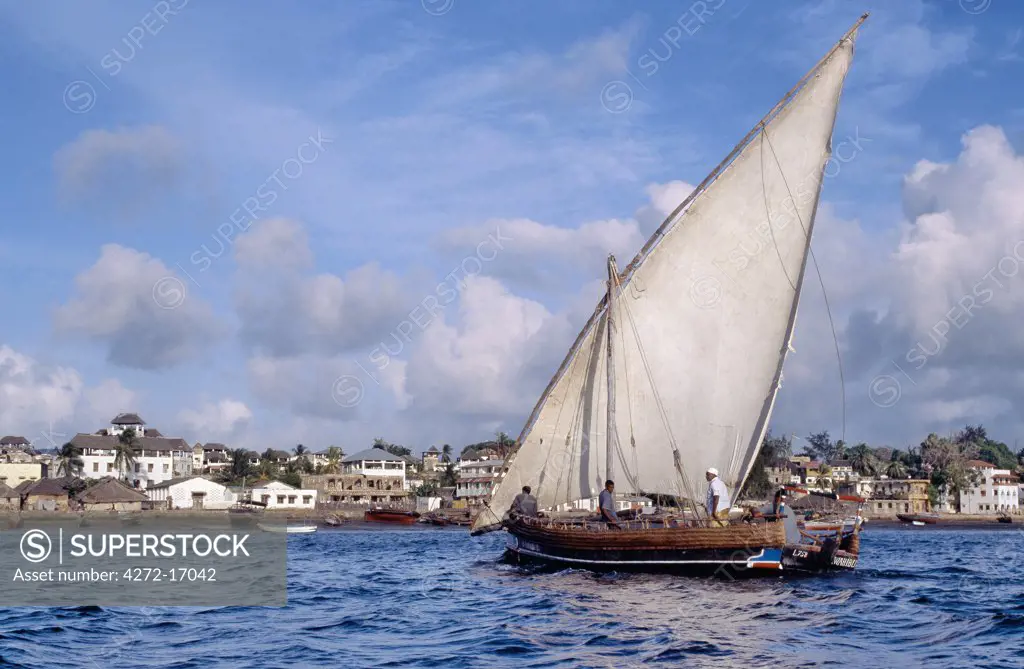 A mashua sails into the sheltered, natural harbour of Lamu Island. Dhow is the colloquial word used by most visitors for the wooden sailing ships of the East African coast although in reality a dhow is a much larger ocean going vessel.