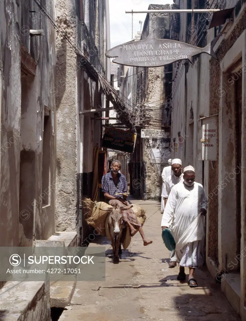 A man rides a donkey in one of the narrow streets of Lamu town.  In the absence of vehicles, which are banned in the island, donkeys are the principal means of carrying heavy loads. Situated 150 miles north northeast of Mombasa, Lamu town dates from the 15th century AD.