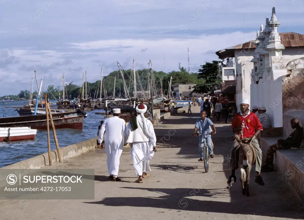 A man rides a donkey and a young boy bicycles along the waterfront of Lamu town, this is the islands widest road.  In the absence of vehicles, which are banned in the island, donkeys are the principal means of transport and carrying heavy loads.