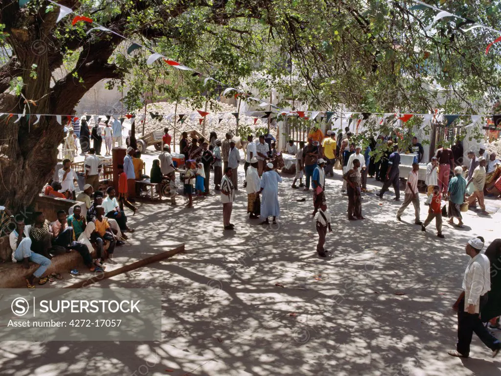 The open, shady square outside Lamu Fort near the islands administrative offices is used as a meeting point during the heat of the day.  Lamu Fort is one of the most imposing historic structures in Kenya, only exceeded in size by Fort Jesus in Mombasa.