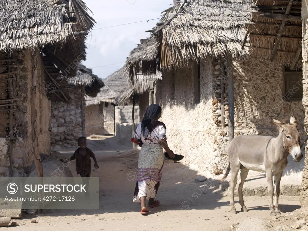 A typical street scene in the fishing village of Kisingitini, a natural harbour on Pate Island.  Almost all the houses there are constructed of coral rag or from coral blocks with thatch made from coconut palm fronds, known as makuti.  With no roads or cars on the island, donkeys are rode and used to carry loads.