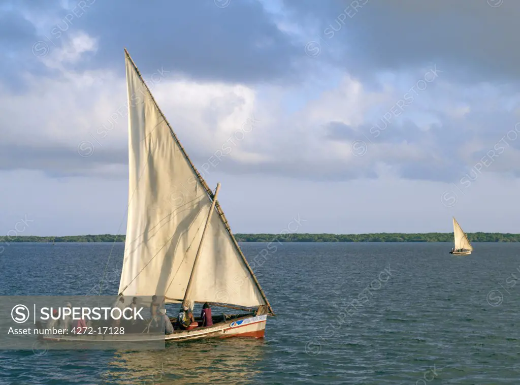At sunrise, fishing boats set sail from the sheltered, natural harbour of Kisingitini on Pate Island for a days fishing. These traditional wooden sailing boats, called mashua, can be found throughout the Lamu Archipelago.