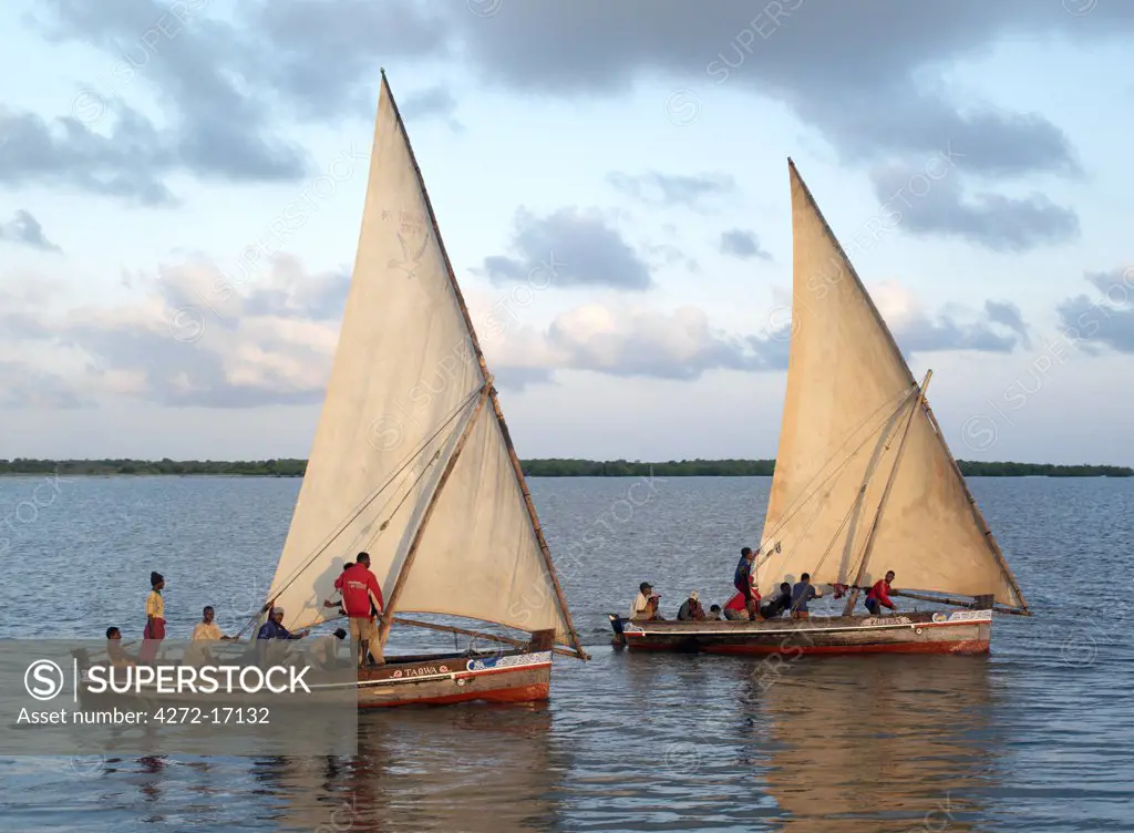 At sunrise, fishing boats set sail from the sheltered, natural harbour of Kisingitini on Pate Island for a days fishing. These traditional wooden sailing boats, called mashua, can be found throughout the Lamu Archipelago.