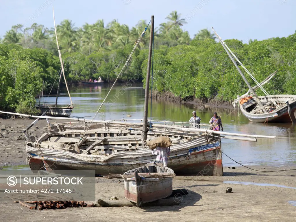 Wooden sailing boats anchor at the end of the mangrove lined tidal channel to Siyu village on Pate Island. Siyu was founded in the 15th century and in its heyday had 30,000 inhabitants; there are now less then 4,000 people living there.