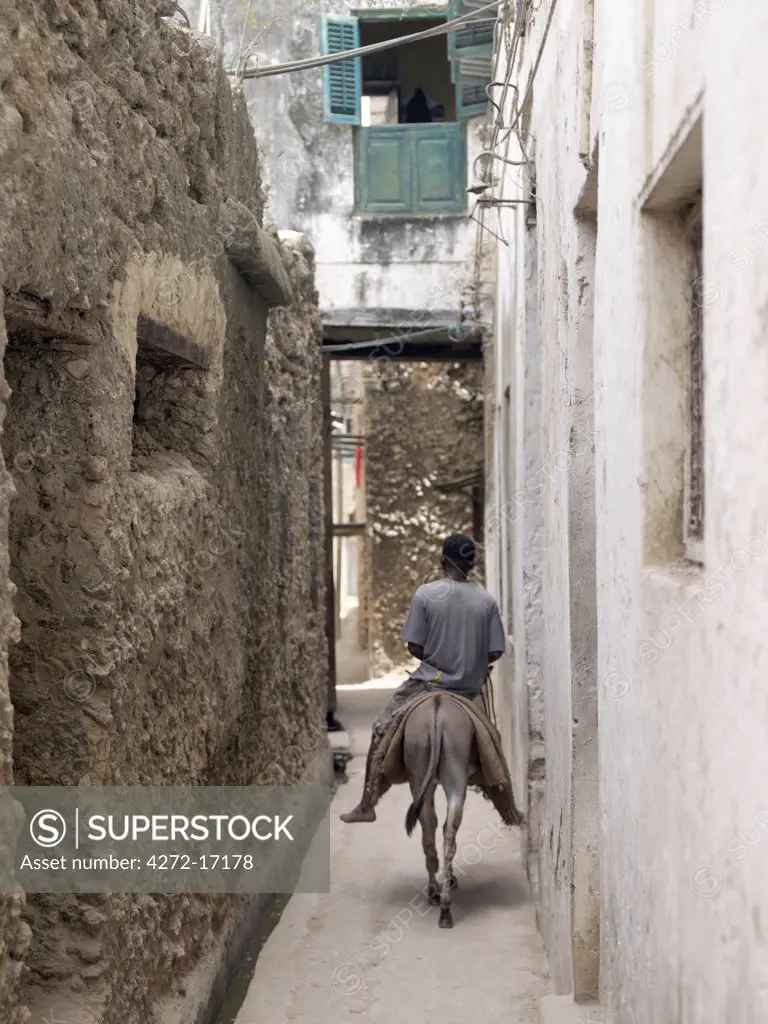 A man rides a donkey sidesaddle through one of the narrow streets of Lamu town.  In the absence of vehicles, which are banned in the island, donkeys are the principal means of transport and carrying heavy loads. Situated 150 miles north northeast of Mombasa, Lamu town dates from the 15th century AD.
