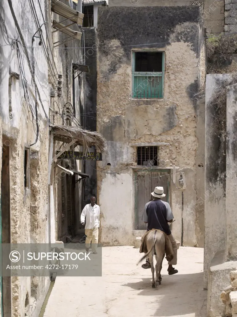 A man rides a donkey sidesaddle through one of the narrow streets of Lamu town.  In the absence of vehicles, which are banned in the island, donkeys are the principal means of transport and carrying heavy loads. Situated 150 miles north northeast of Mombasa, Lamu town dates from the 15th century AD.
