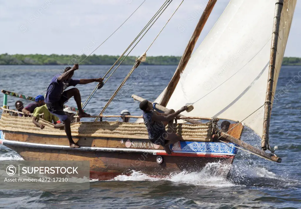 Dhows sailing off Lamu Island. Dhow or Dau is the colloquial word used by most visitors for the wooden sailing ships of the East African coast although in reality a dhow is a much larger ocean going vessel than either the medium sized Jahazi or smaller mashua fishing boats that are commonly seen at Lamu.