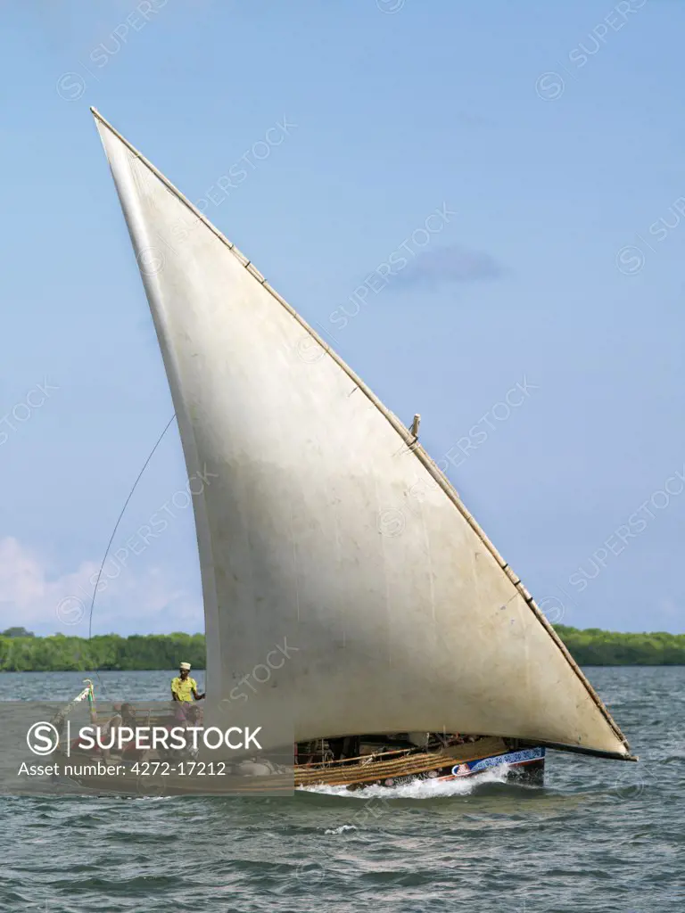 Dhows sailing off Lamu Island. Dhow or Dau is the colloquial word used by most visitors for the wooden sailing ships of the East African coast although in reality a dhow is a much larger ocean going vessel than either the medium sized Jahazi or smaller mashua fishing boats that are commonly seen at Lamu.