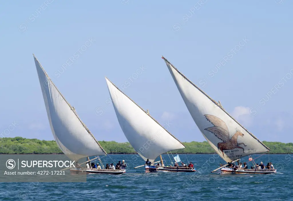 Dhows sailing off Lamu Island. Dhow or Dau is the colloquial word used by most visitors for the wooden sailing ships of the East African coast although in reality a dhow is a much larger ocean going vessel than either the medium sized Jahazi or smaller mashua fishing boats that are commonly seen at Lamu.