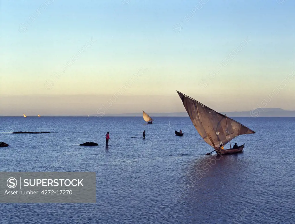 Luo fishing boats leave the eastern lakeshore of Lake Victoria in the early morning while men fish for tilapia and nile perch in the shallow waters.