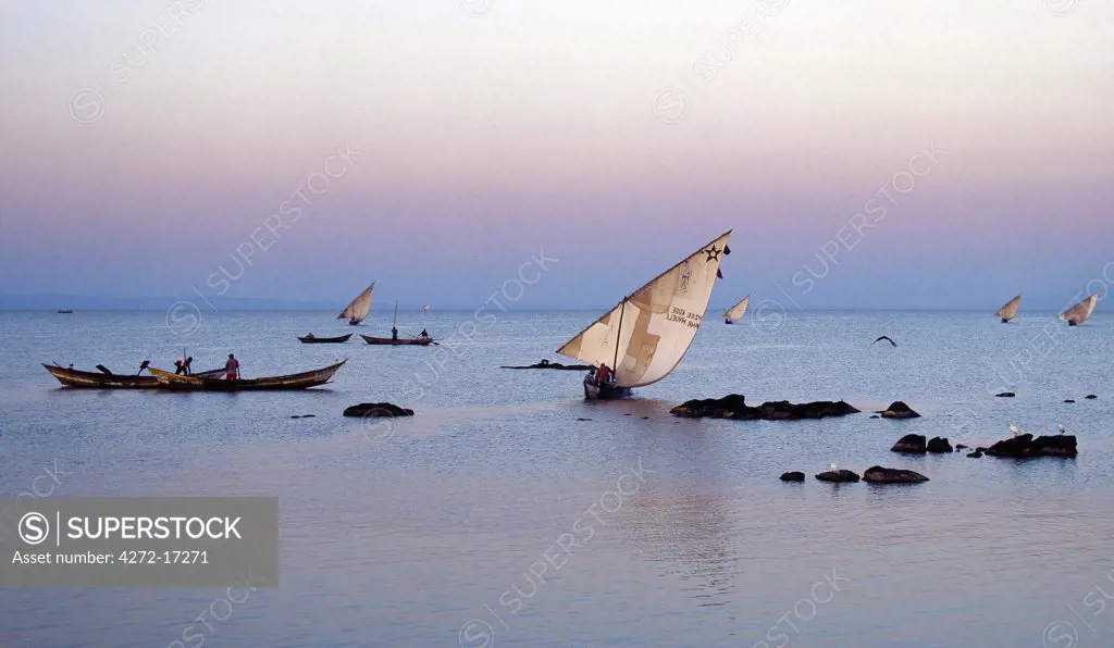 Luo fishing boats leave the eastern lakeshore of Lake Victoria in the early morning to fish for tilapia and nile perch.