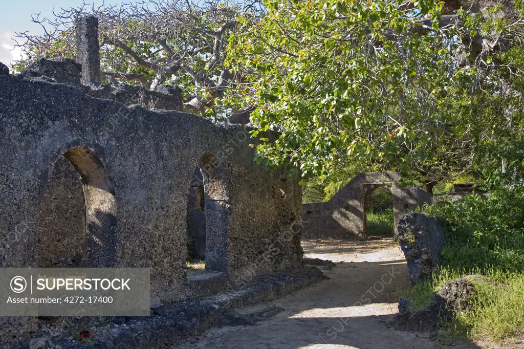 Kenya, Lamu archipelago, Manda Island. Takwa ruins on Manda Island. They are the ruins of a Muslim town which was abandoned around the 18th Century.