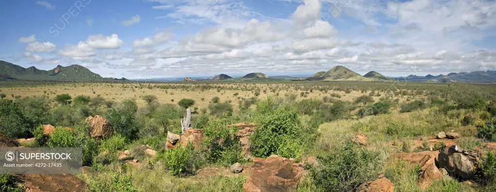 Kenya, Tsavo West National Park. Typical scenery in Tsavo West National Park. The cones denote the volcanic activity which gave shape and form to this region of outstanding beauty.